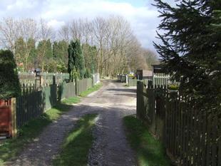 Shared Driveway
