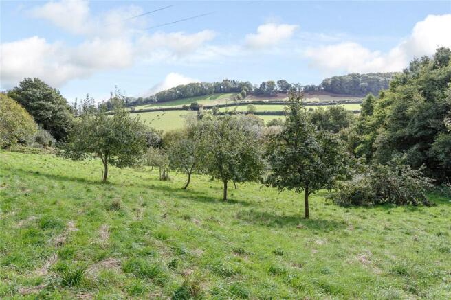 Orchard