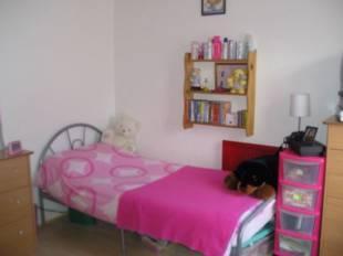 Picture 7