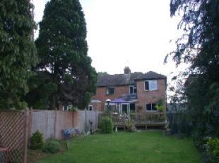 Rear Elevation