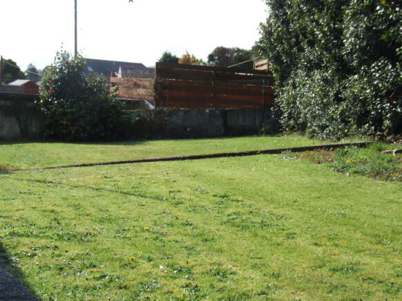 Back Garden