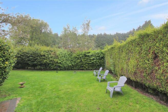 Rear Garden.JPG