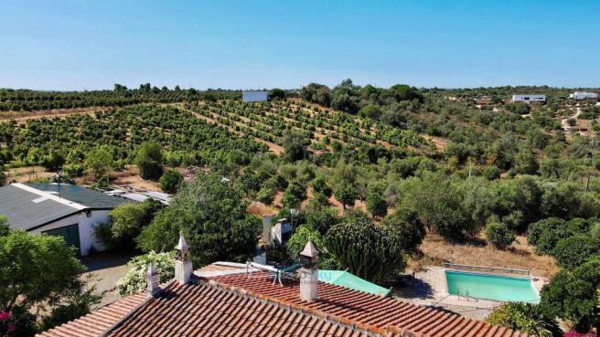views over vineyards and orchards