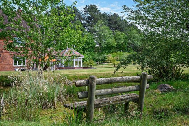 View from Pond