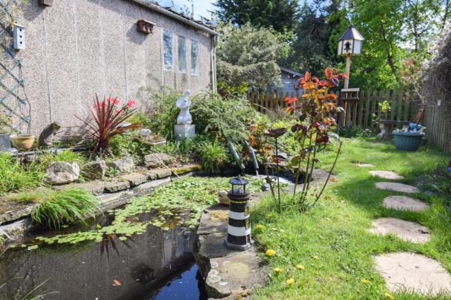 Pond and garden