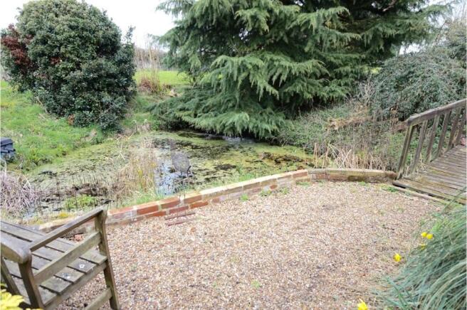Pond