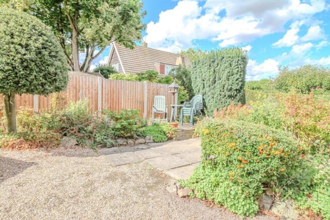 IMG_8641.jpg