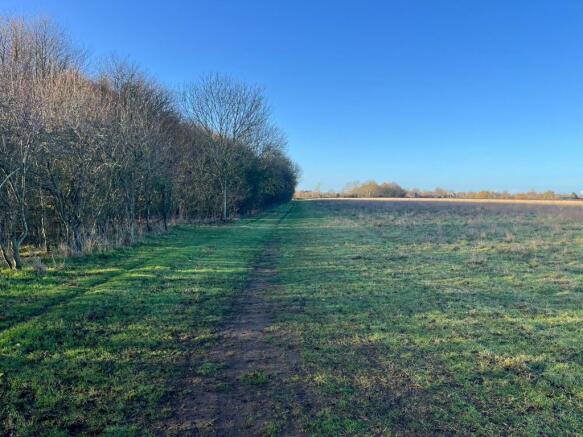 Southern Boundary