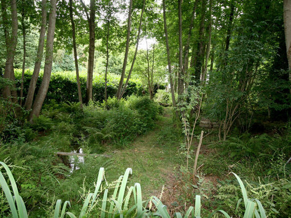 Woods 3