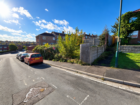 Sunlit Suburban Street With Blank Plates T202610301049.png