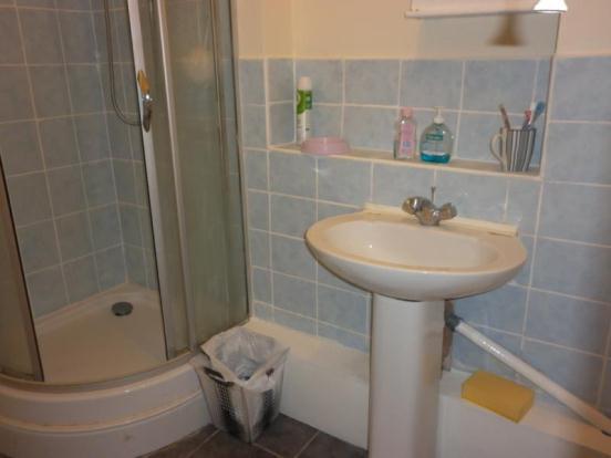 Downstairs Shower
