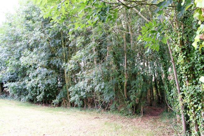 Copse