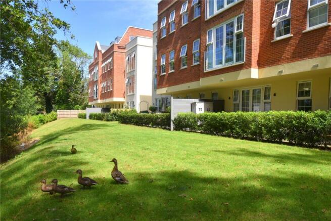 Grounds