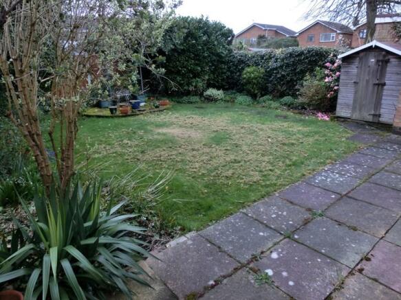 Photo 8