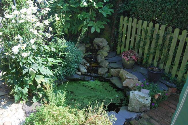 Photo 11