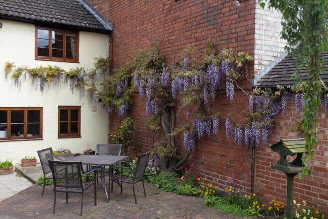 wisteria may 14-0002.jpg
