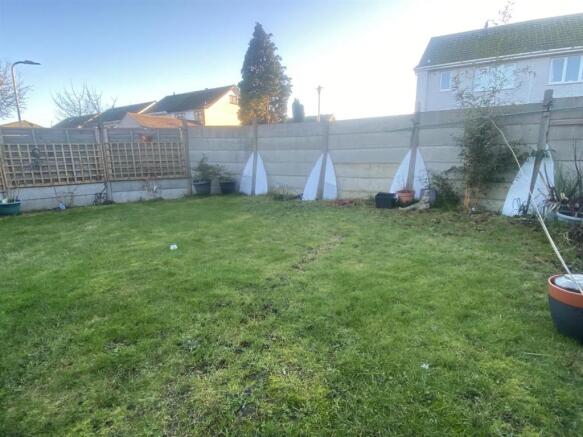 garden.jpeg