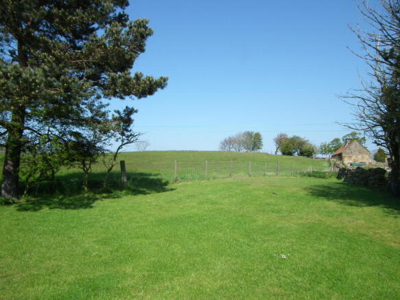 Back Garden