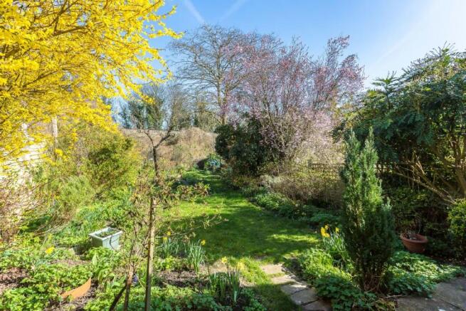 2nd Photo of Garden