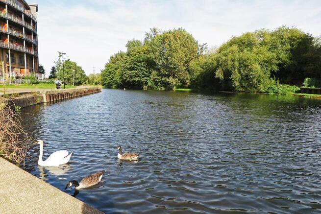 River lea.jpg