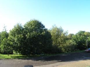 View to Front