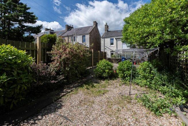 Back Garden