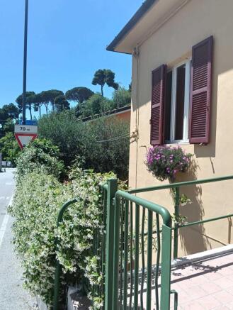 WhatsApp Image 2025-