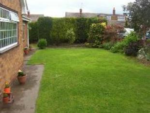 Picture of garden