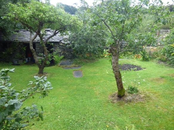Orchard