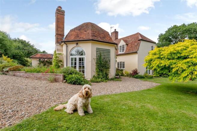 House & Cockapoo