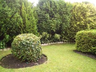 Side garden