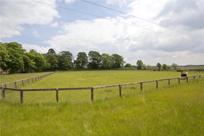Pastureland