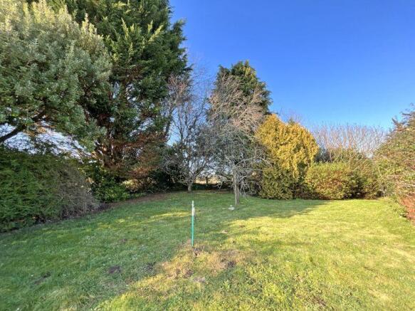 Rear garden