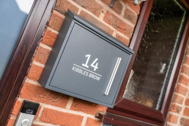 Photograph 41