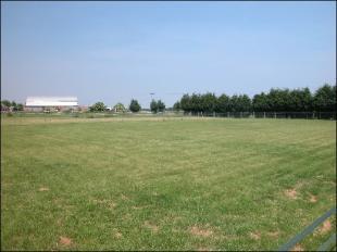 PADDOCKS