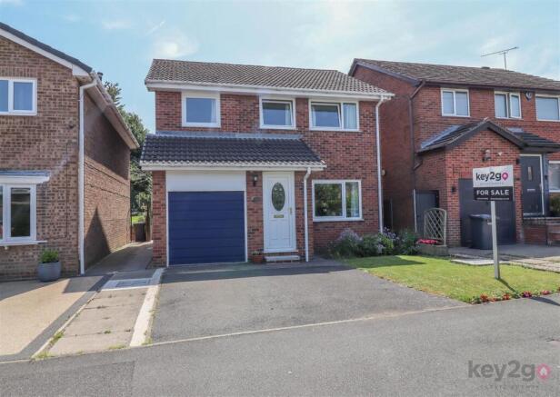 IMG_0449.jpg