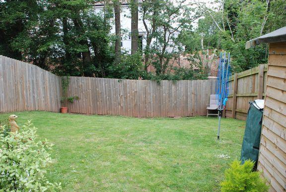 Lawn
