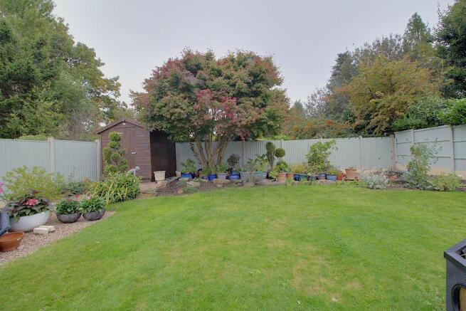 Garden at Back