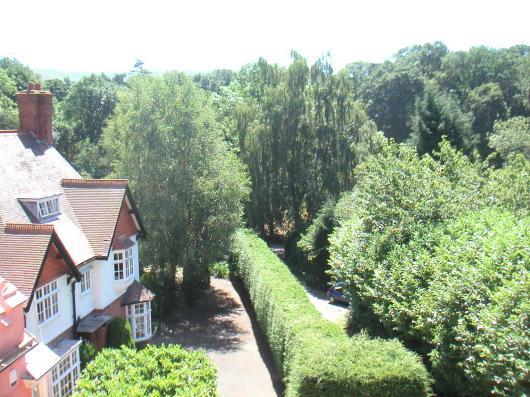 View from kitchen