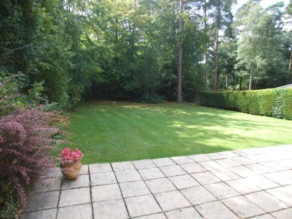 Photo 10