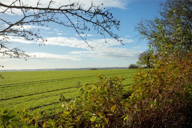 Countryside Views