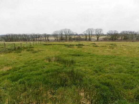 Jumping Field ...