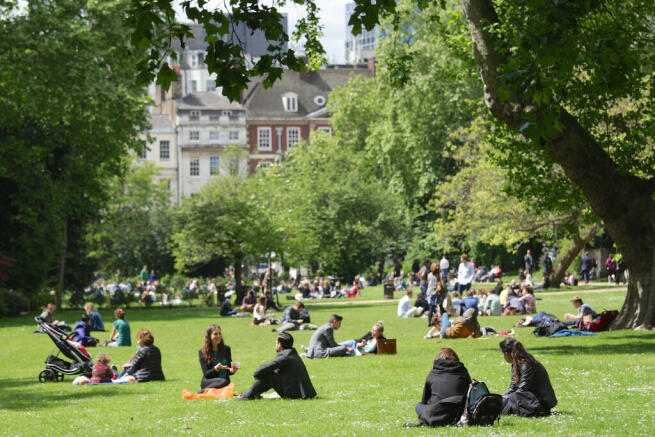 Tavistock Bow-35 ...