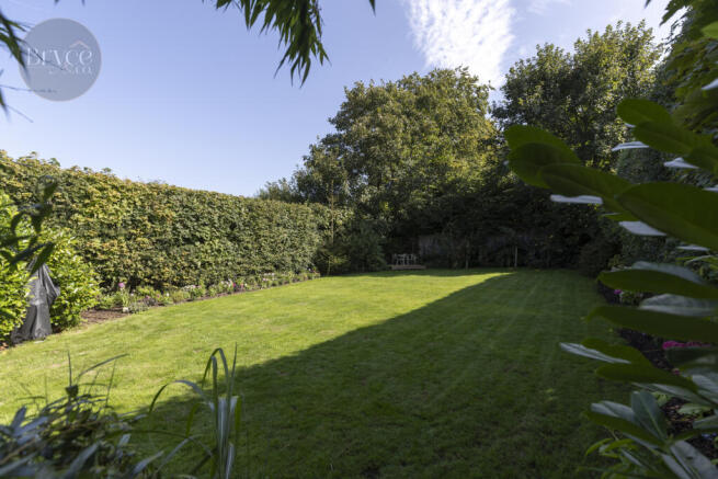 Haylett Ext Shoot  -12