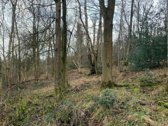 Woodland