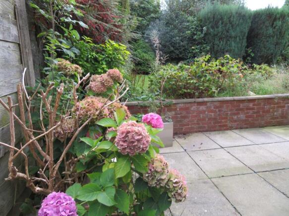 Photo 17