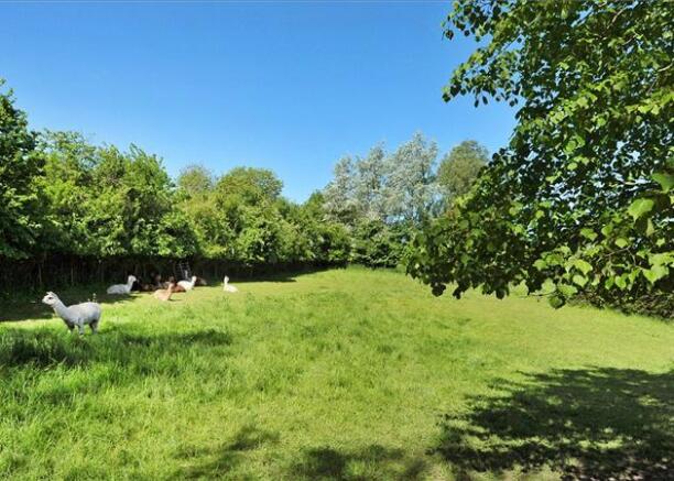 Pasture Land