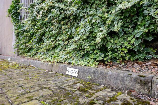 Car Parking Space