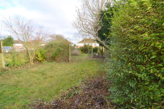 garden 1.JPG