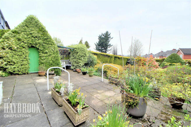 Photo 13